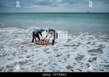 Eine Gruppe srilankischer Fischer, die am tropischen Strand in Trincomalee Fische aus den Netzen sammeln. Stockfoto