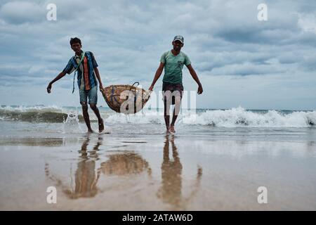 Zwei srilankische Männer, die Fische in einem Bambo-Korb am Trincomalee Strand tragen und im Ozean waschen. Stockfoto