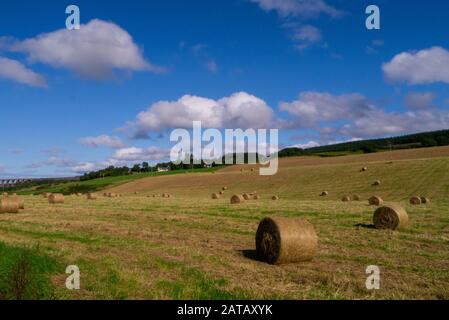 Silage Ballen von Heu in einem späten Sommerfeld auf einer Farm in der Nähe von Culloden Inverness-shire Scotland UK Stockfoto