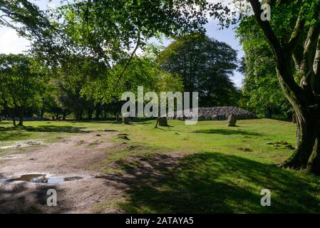 Die Clava Cairns in der Nähe von Culloden in den schottischen Highlands von Inverness-shire Scotland UK Stockfoto