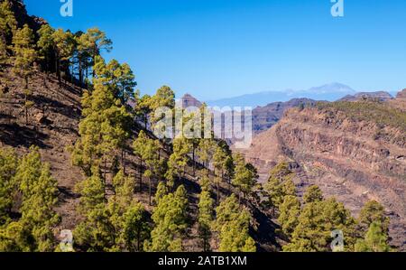 Gran Canaria, Januar, zentraler Teil der Insel, Blick auf die pyramidale Montana de Alsobas und Teide auf der Insel Stockfoto