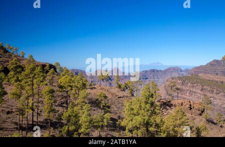 Gran Canaria, Januar, zentraler Teil der Insel, Blick auf die pyramidale Montana de Alsobas und Teide auf der Insel Stockfoto