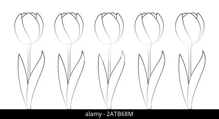 Satz Tulpen für Farbband isoliert auf weißer Hintergrundvektorabbildung EPS10 Stock Vektor