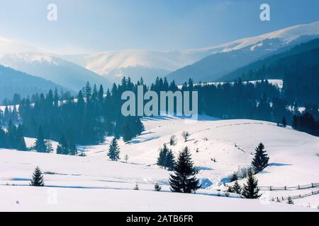 Berglandschaft im Winter. Atemberaubende Landschaft an einem sonnigen Tag. Fichtenwald auf schneebedeckten Hügeln. Schöne Landschaft von B. Stockfoto