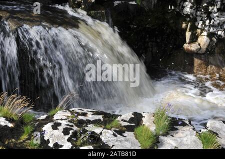 Rund um Großbritannien - Ein Bild, das auf dem "Dales Way" zwischen Grassington & Burnsall, North Yorkshire, Großbritannien aufgenommen wurde Stockfoto