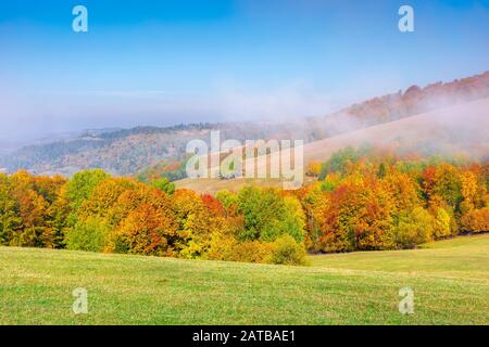 Nebelige Berglandschaft im Herbst, Wolken ragen an einem sonnigen Morgen über die sanften Hügel. Wundervolle Landschaft mit Bäumen im Herbstlaub und grasig Stockfoto