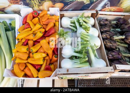 Frische, rohe Paprika, Fenchelbirnen und Artischocken verpackten und in einem Lebensmittelgeschäft in Großbritannien zum Verkauf angeboten werden Stockfoto