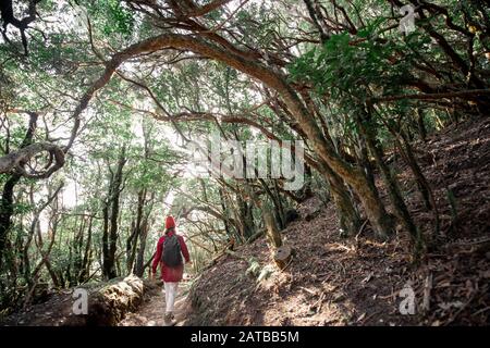 Blick auf die Landschaft auf den schönen Regenwald im Anaga-Nationalpark mit einer Frau, die auf dem Fußweg auf der Insel Tenera, Spanien, spazieren geht Stockfoto