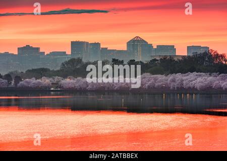 Washington DC, USA Skyline am Potomac River in der Nacht. Stockfoto