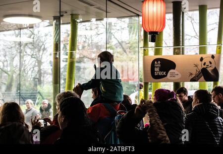 Berlin, Deutschland. Februar 2020. Besucher des Zoos stehen im Panda-Gehege zusammen und sehen sich die Nachkommen der Pandas an. Credit: Paul Zinken / dpa / Alamy Live News Stockfoto