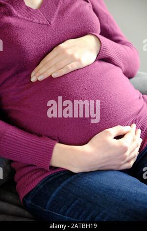 Der Bauch einer kaukasischen Frau, die im siebten Schwangerschaftsmonat schwanger war. Mama trägt einen roten Pullover. Stockfoto