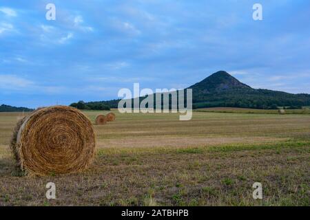 Schöne goldene Heuballen, die auf einem großen, unberührten, landwirtschaftlichen Feld stehen. In der rückwärtigen Landschaft mit vulkanischem Hügel in der Nähe des Balatonseens Stockfoto