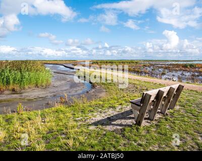 Leere Holzbank mit Blick auf Marschland und Fußweg des Naturpfads auf der Insel Marker Watden in Markermeer, Niederlande Stockfoto