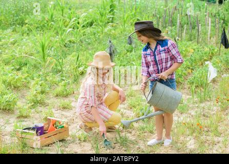 Schwestern helfen gemeinsam auf der Farm. Mädchen Pflanzen. Landwirtschaftskonzept. Gemüse wird angebaut. Hoffnung auf gute Ernte. Rustikale Kinder, die im Garten arbeiten. Pflanzen und Bewässern. Pflanzen von Gemüse. Stockfoto