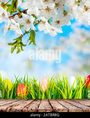 Osterhintergrund mit bunten Eiern in grünem Gras, weiß blühenden Zweigen und Holztischplatte Stockfoto