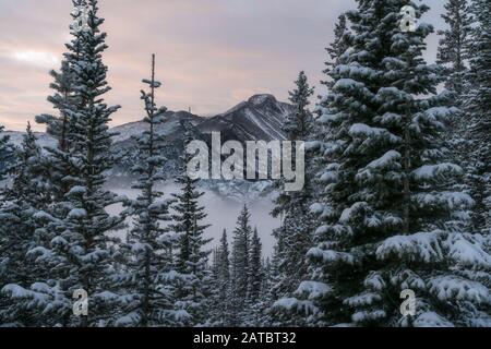 Longs Peak, vom Flattop Mountain Trail. Estes Park, Colorado. Stockfoto