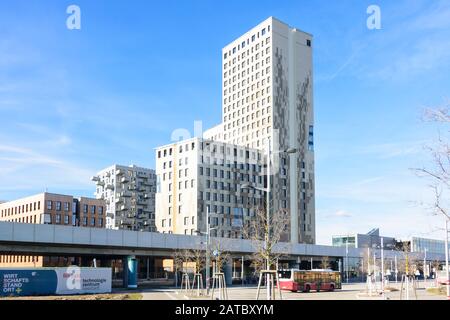 Wien, Wien: 84 m hoher Holzhochhaus oho Holzhochhaus, höchster Holzhochhaus der Welt, im neuen Stadtteil Seestadt Aspern im 22. Donaustadt Stockfoto