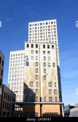 Wien, Wien: 84 m hoher Holzhochhaus oho Holzhochhaus, höchster Holzhochhaus der Welt, im neuen Stadtteil Seestadt Aspern im 22. Donaustadt Stockfoto