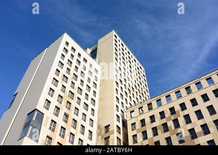 Wien, Wien: 84 m hoher Holzhochhaus oho Holzhochhaus, höchster Holzhochhaus der Welt, im neuen Stadtteil Seestadt Aspern im 22. Donaustadt Stockfoto
