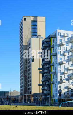 Wien, Wien: 84 m hoher Holzhochhaus oho Holzhochhaus (links), höchster Holzhochhaus der Welt, im neuen Stadtteil Seestadt Aspern, andere apa Stockfoto