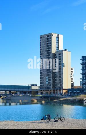 Wien, Wien: 84 m hoher Holzhochhaus oho Holzhochhaus (links), höchster Holzhochhaus der Welt, im neuen Stadtteil Seestadt Aspern, andere apa Stockfoto
