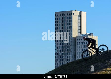 Wien, Wien: 84 m hoher Holzhochhaus oho Holzhochhaus, höchster Holzhochhaus der Welt, im neuen Stadtteil Seestadt Aspern, Bergbiker i Stockfoto