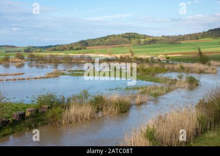 Überschwemmung der Sekta bei Oberdorf • Baden-Württemberg, Deutschland Stockfoto