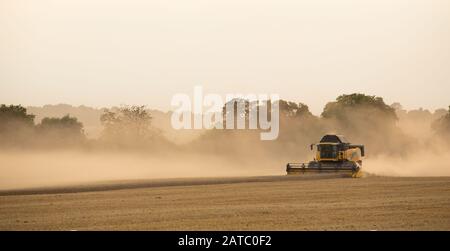 Mähdrescher ernten an einem Sommertag. Much Hadham, Hertfordshire. GROSSBRITANNIEN Stockfoto