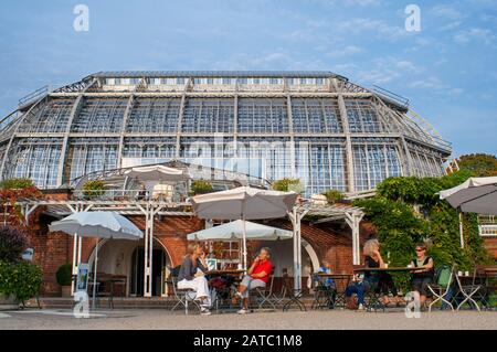 Glashaus Botanischer Garten oder Botanischer Garten Berlin, mit mehr als 43 ha der größte Botanische Garten Europas. Der größte tropische Greenhous Stockfoto