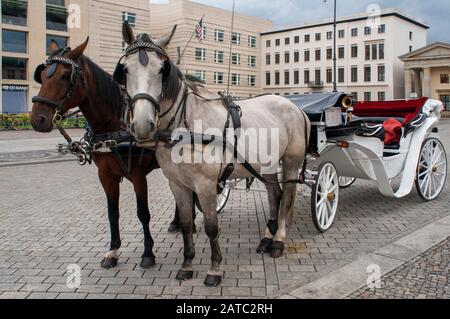 Pferdekutschen im Brandenburger Tor, Pariser Platz, Mitte, Berlin, Deutschland / Brandenburger Tor Stockfoto