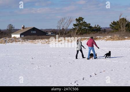 Madison, CT USA. März 2019. Ein Paar in warmer Kleidung, die ihre Hunde an einem schneebedeckten Neuengland-Strand spazieren gehen. Stockfoto