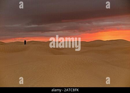 Einsamer Mann, der schaut, wenn die Sonne im Sand hinter den Dünen in der Sahara untergeht Stockfoto