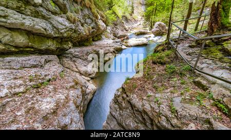 Die Starzlachklamm, eine schöne Schlucht am Fuße der Grunen bei Sonfhofen, Immenstadt im Allgau Stockfoto