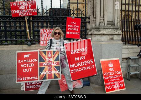 Westminster, London, Großbritannien. Mai 2019. Brexit Lässt Aktivisten und Zeichen. Kredit: Maureen McLean/Alamy Stockfoto