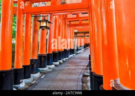 Rot bemalte Holzspende Torii-Tore im Tempel Fushimi Inari Taisha der Stadt Kyoto, Japan. Stockfoto