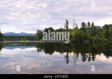 Der Hufeisensee entlang des Hufeisensees im Denali-Nationalpark, Alaska, USA. Stockfoto