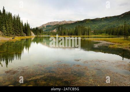 Der Hufeisensee entlang des Hufeisensees im Denali-Nationalpark, Alaska, USA. Stockfoto