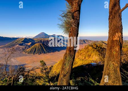 Mount Bromo bei Sonnenaufgang, Bromo Tengger Semeru Nationalpark, East Java Provinz Indonesia Stockfoto