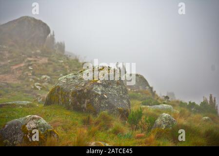 Nebelige Wiesenlandschaft im Huascarán-Nationalpark peru Stockfoto