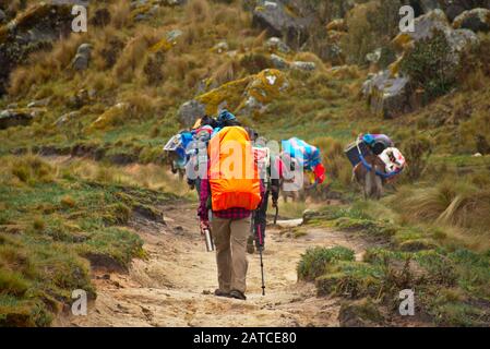 Wanderer und Burro-Esel-Trekking auf dem Santa Cruz Trek Huascarán Nationalpark Peru Stockfoto