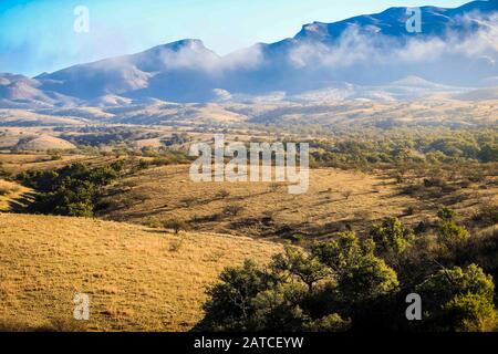 BACOACHI, SONORA. Landschaft eines Tals und Berge mit Nebel, während eines kalten Wintermorgens. Ökosystem aus Weide- und Eichenwald zwischen Cananea und Bacoachi, Sonora, Mexiko. (Foto: Luis Gutierrez / NortePhoto.com) BACOACHI, SONORA. Paisaje de un valle y sierra con neblina, durante una fría mañana de Invierno. Ecosistema de Pastizal y bosque de encinos entre Cananea y Bacoachi, Sonora, Mexiko. (Foto: Luis Gutierrez /NortePhoto.com) Stockfoto