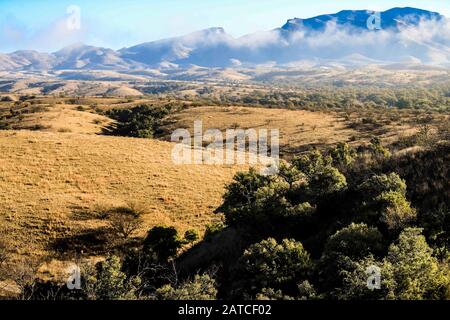 BACOACHI, SONORA. Landschaft eines Tals und Berge mit Nebel, während eines kalten Wintermorgens. Ökosystem aus Weide- und Eichenwald zwischen Cananea und Bacoachi, Sonora, Mexiko. (Foto: Luis Gutierrez / NortePhoto.com) BACOACHI, SONORA. Paisaje de un valle y sierra con neblina, durante una fría mañana de Invierno. Ecosistema de Pastizal y bosque de encinos entre Cananea y Bacoachi, Sonora, Mexiko. (Foto: Luis Gutierrez /NortePhoto.com) Stockfoto