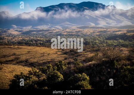 BACOACHI, SONORA. Landschaft eines Tals und Berge mit Nebel, während eines kalten Wintermorgens. Ökosystem aus Weide- und Eichenwald zwischen Cananea und Bacoachi, Sonora, Mexiko. (Foto: Luis Gutierrez / NortePhoto.com) BACOACHI, SONORA. Paisaje de un valle y sierra con neblina, durante una fría mañana de Invierno. Ecosistema de Pastizal y bosque de encinos entre Cananea y Bacoachi, Sonora, Mexiko. (Foto: Luis Gutierrez /NortePhoto.com) Stockfoto