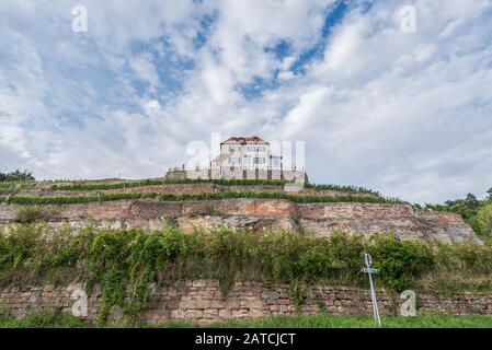 Skulpturen im Weinberg bei Naumburg/Saale, Sachsen-Anhalt, Deutschland Stockfoto