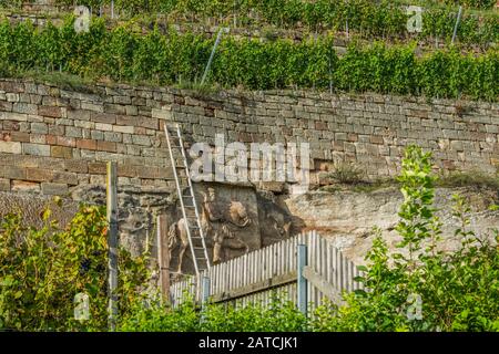 Skulpturen im Weinberg bei Naumburg/Saale, Sachsen-Anhalt, Deutschland Stockfoto