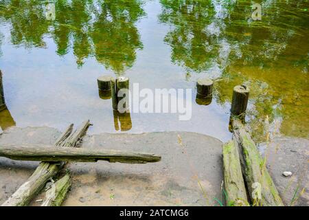 Sandstrand und alte verwitterte Holz- beiträge in spiegelnden Wasser des seichten Fluss oder Kanal mit Algen und Schlick Stockfoto