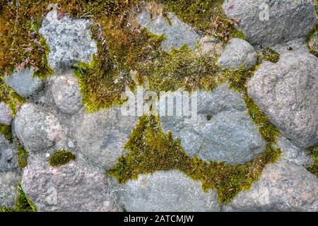 Stapel der große Granit Pflastersteine oder Felsbrocken überwachsen mit Moos, Flechten und Garten Pflanzen Sukkulenten. Nähe zu sehen. Stockfoto