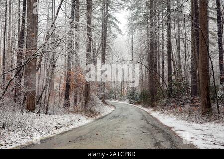 Waldstraße im Winter - Pisgah National Forest, in der Nähe von Brevard, North Carolina, USA Stockfoto