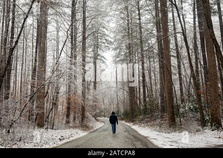 Person, die im Winter die Waldstraße hinunterläuft - Pisgah National Forest, in der Nähe von Brevard, North Carolina, USA Stockfoto