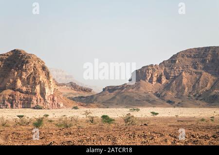 Trockenes Landschaftstal des Timna-Tals in der Negev-Wüste, Israel Stockfoto
